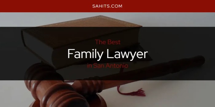 Whitley divorce antonio san law firm lawyers deanna family experienced top