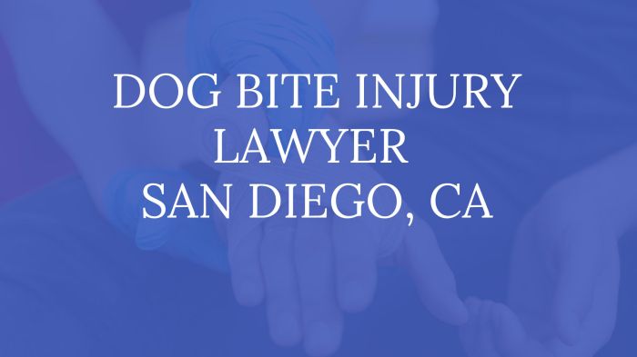 Dog diego bite san lawyer attorney attacked why need re if