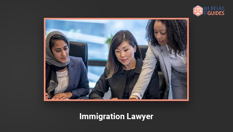 Immigration lawyers lawyer