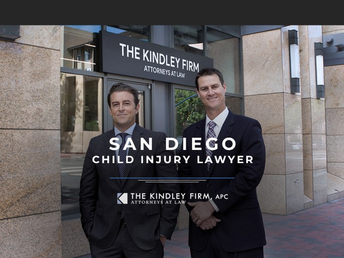 Diego san lawyer dec nov