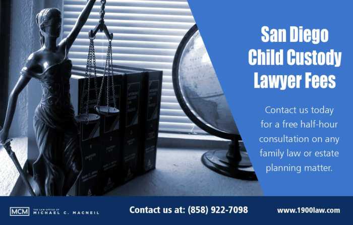 Custody child attorney diego san questions